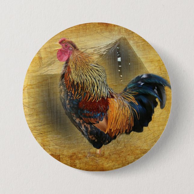 Vackra Tupp och Rustic Barn Chicken Coop Knapp (Framsida)