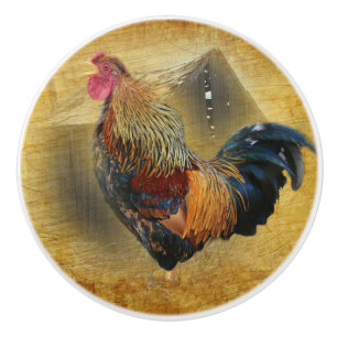 Vackra Tupp och Rustic Barn Chicken Coop Knopp