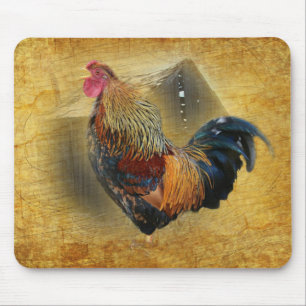 Vackra Tupp och Rustic Barn Chicken Coop Musmatta