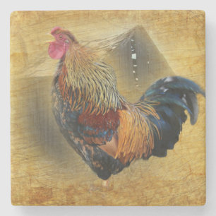 Vackra Tupp och Rustic Barn Chicken Coop Stenunderlägg