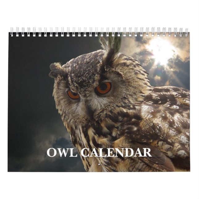 Vackra Uggla Bilder och Bilder 2025 Kalender (Omslag)