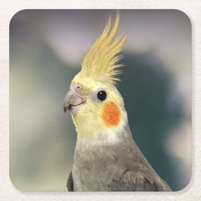 Vackra Underlägg Cockatiel-uppsättning (Framsidan)