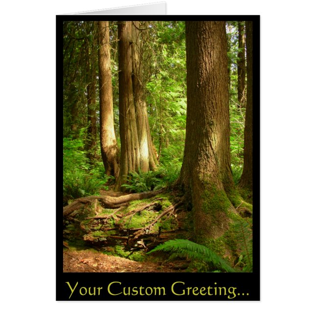 Vackra utskrivkort för tomt skogsområde hälsningskort (Framsidan)