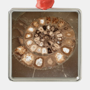 Vackra utsöndrade Dactylioceras ammnite fossil Julgransprydnad Metall