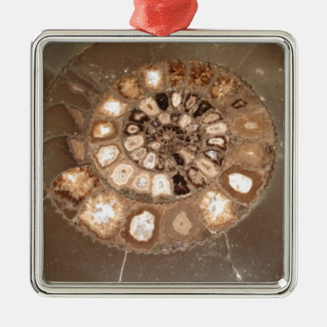 Vackra utsöndrade Dactylioceras ammnite fossil Julgransprydnad Metall (Framsidan)