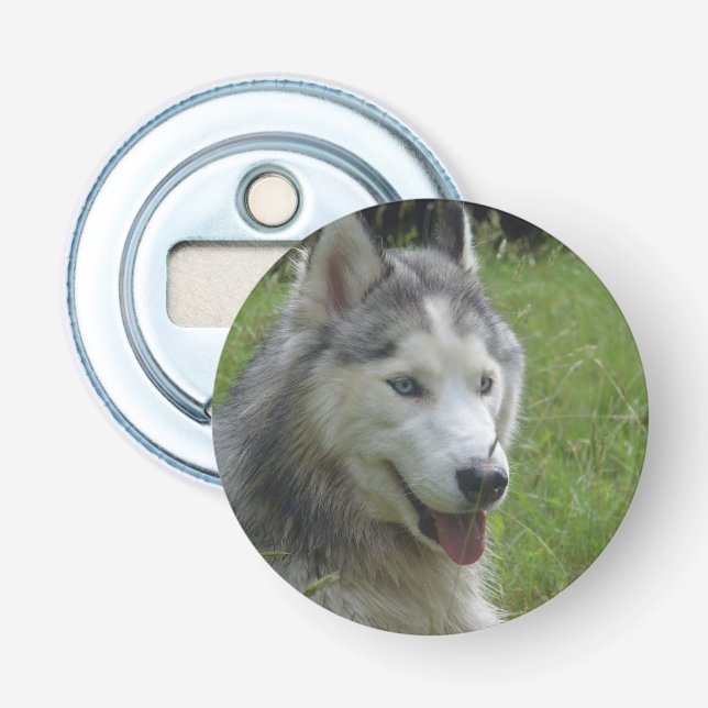 Vackra valpen Siberian husky Hund Flasköppnare (Framsidan)