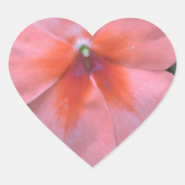 Vackra vanliga rosa trädgårdsblommor. Blommig foto Hjärtformat Klistermärke