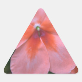 Vackra vanliga rosa trädgårdsblommor. Blommig foto Triangelformat Klistermärke
