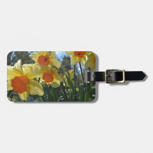 Vackra vår gult,orange daffodil-blommor bagagebricka (Horisontell Framsida)