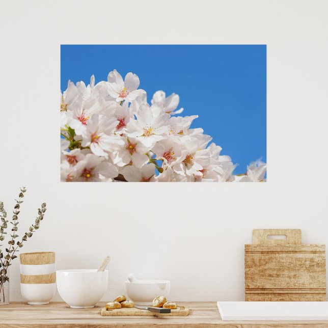 Vackra vårblommor poster (Kök)