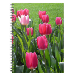 Vackra vårblommor rosa tulpaner och gröna blad. anteckningsbok med spiral