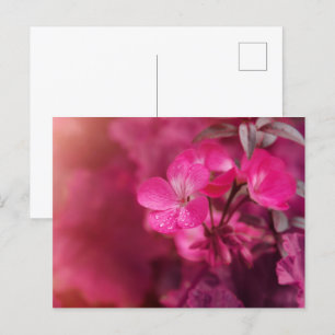 Vackra vårblommor vykort