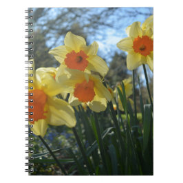Vackra vårgula, orange narcissblommor anteckningsbok med spiral
