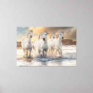 Vackra Vild White Horses Canvastryck