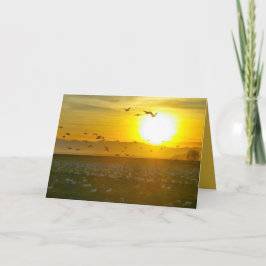 Vackra Vilder vid Sunset, Lanscape Kort