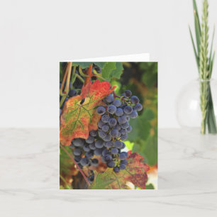 Vackra Vin-vineyard Blank Note-kort Kort