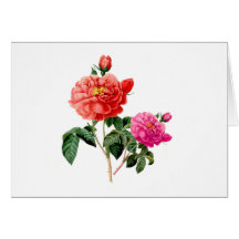 vackra vintage röda och rosa rosblommor