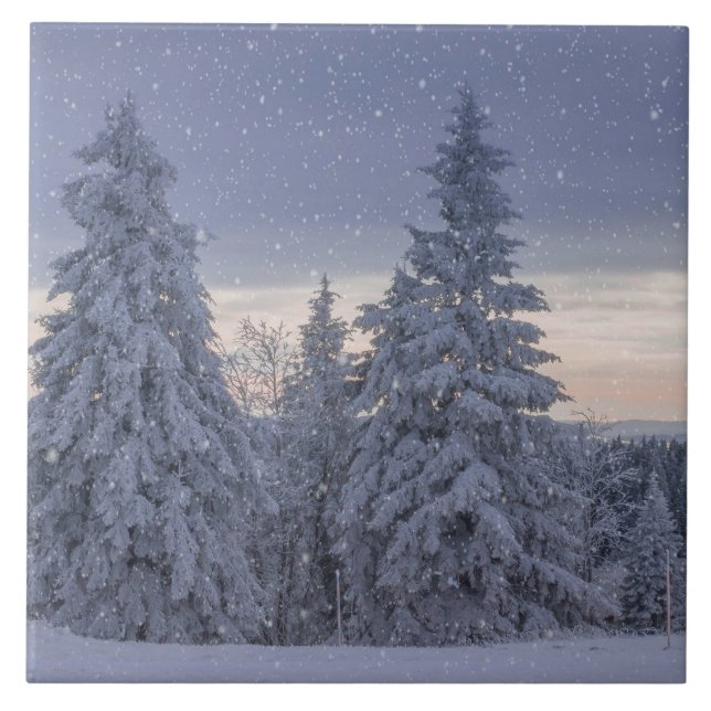 Vackra vinterlandskap när det är snowing kakelplatta (Framsidan)