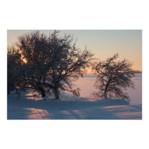 Vackra vintersolnedgången i rosa i Finland CC0829 Fototryck
