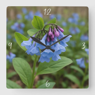 Vackra Virginia Bluebells Fyrkantig Klocka