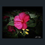 Vackra visioner Hibiscus Blommigt Wall Art GPsg Poster<br><div class="desc">Detta vackra verk av fotografisk blommigt kommer definitivt att bli ett samtal biet för gäster eller kunder till ditt hem eller kontor. En vacker vision av Gods' Paintbrush på jobbet som fångades av den prisbelönta fotografen Stan V. Griep - Colorado, USA. En Luna Ro Hibiscus Bloom Smile med gult vildblommans...</div>