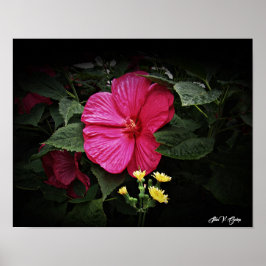 Vackra visioner Hibiscus Blommigt Wall Art GPsg Poster