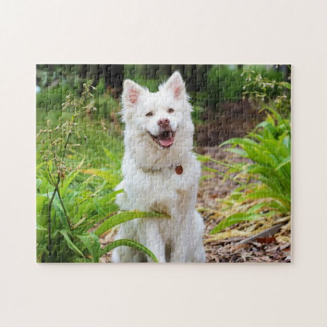 Vackra Vita finska Spitz - Lapphund Pussel (Horisontell)