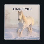 Vackra vita hästen i Snö Photo Tack Magnet<br><div class="desc">Ett tack med ett foto av en underbar vit häst. Körs genom ett snö täckt fält. Majestisk och vacker.</div>