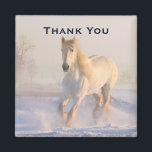 Vackra vita hästen i Snö Photo Tack Magnet<br><div class="desc">Ett tack med ett foto av en underbar vit häst. Körs genom ett snö täckt fält. Majestisk och vacker.</div>