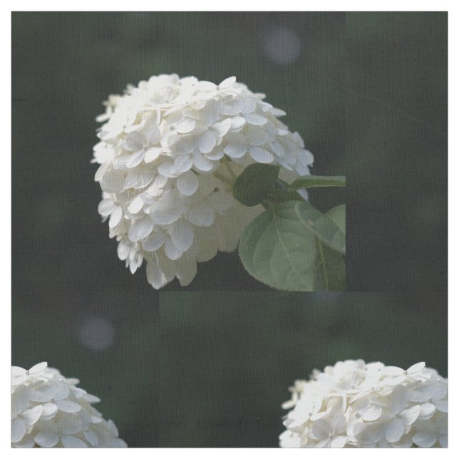 Vackra vita kalk Hydrangea-Blommigten Tyg (Provkarta)
