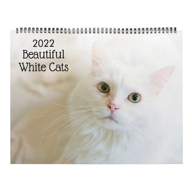 Vackra vita katter 2022-kalender kalender (Omslag)