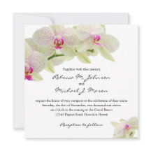 Vackra vita och Shock rosa orkidéer