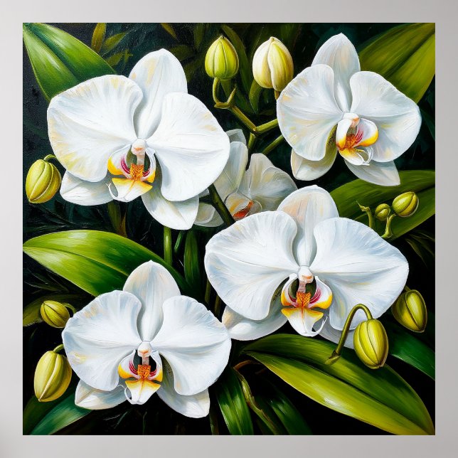 vackra vita Orchids Poster (Framsidan)