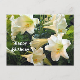 Vackra vita påskliljor blomfotobirthday vykort