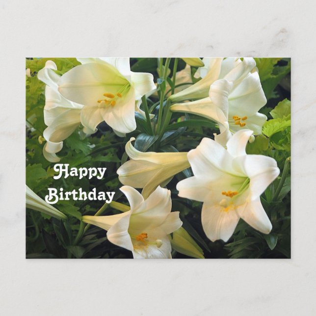 Vackra vita påskliljor blomfotobirthday vykort (Framsida)