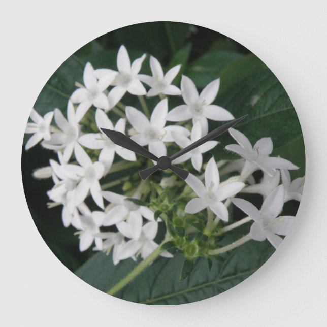 Vackra Vita Tropiska Flowers Wall Clock Stor Klocka (Framsida)