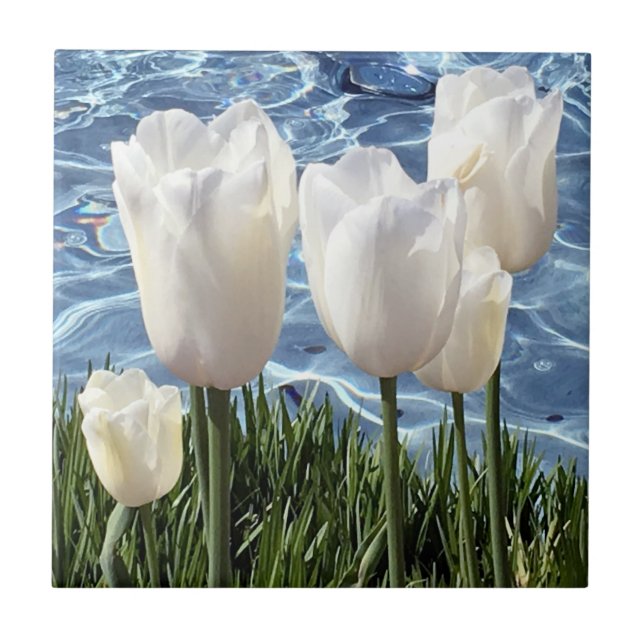 Vackra vita Tulips Kakelplatta (Framsidan)