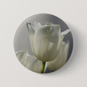 Vackra vita Vår Tulips Knapp