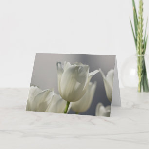 Vackra vita Vår Tulips Kort