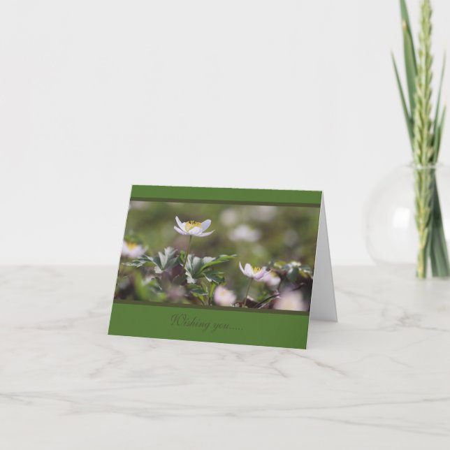 Vackra vita Wood Anemones Kort (Framsida)