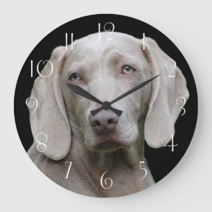 Vackra Weimaraner Hunting Hund Stor Klocka