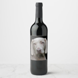 Vackra Weimaraner Hunting Hund Vinflaska Etikett