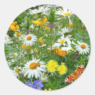 Vackra Wildblomma och fjärilsmuggor Runt Klistermärke