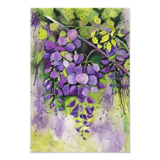 Vackra Wisteria Flowers i vattenfärg Fototryck (Framsidan)