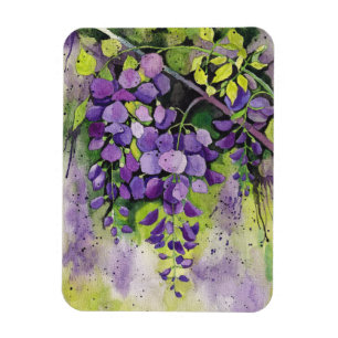 Vackra Wisteria Flowers i vattenfärg Magnet