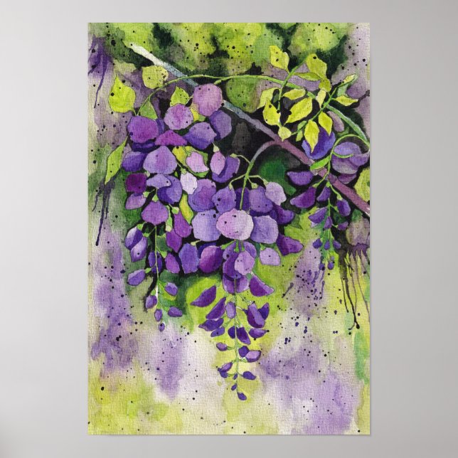 Vackra Wisteria Flowers i vattenfärg Poster (Framsidan)
