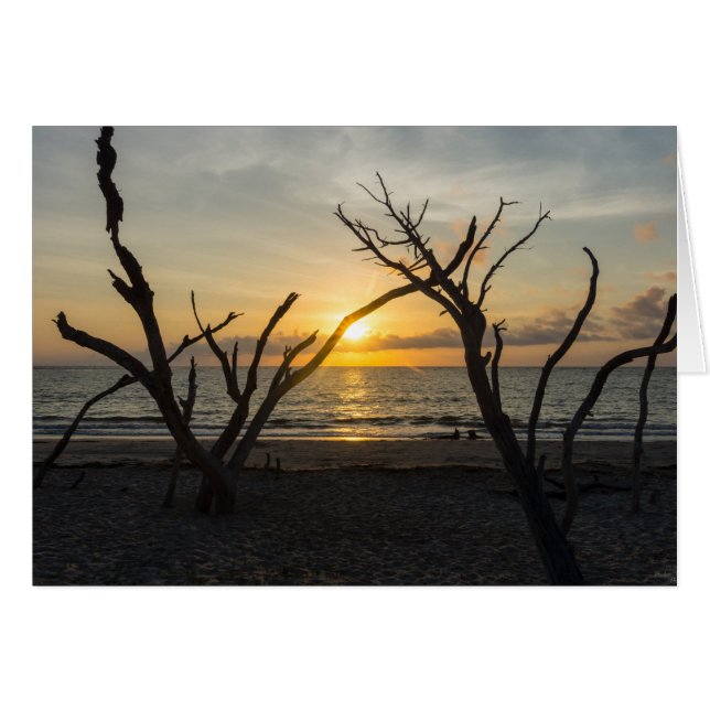 Vackrik Folly Morgon OBS Kort (Framsidan Horizontal)