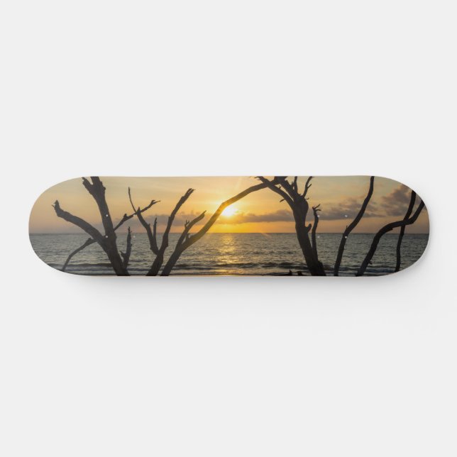 Vackrik Folly Morgon Skateboard Bräda 19,5 Cm (Horz)