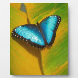 Vackrik Iridescent Butterfly