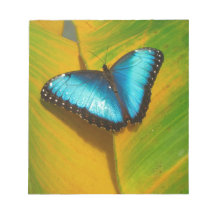 Vackrik Iridescent Butterfly